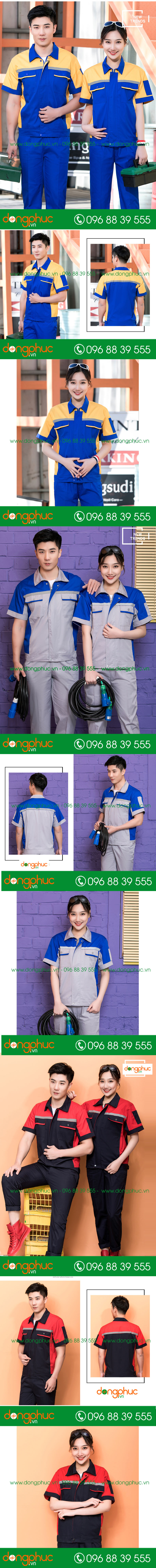 Mẫu bảo hộ cộc tay
